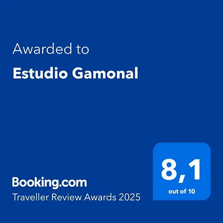 Apartament Estudio Gamonal *